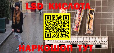 PSILOCYBIN Шебекино